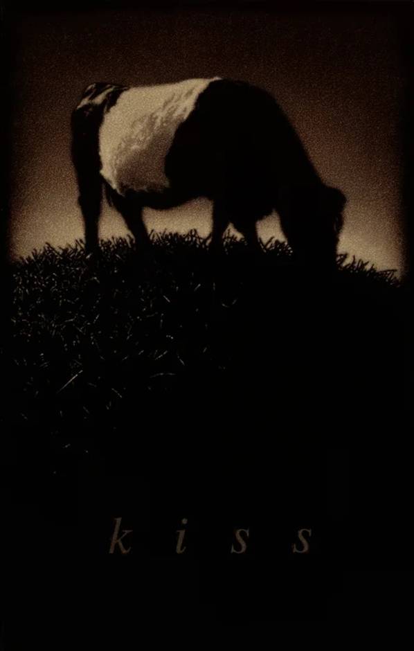 Kiss - Till the Cow Come Home